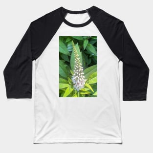 Forest Bathing with Tender Nature Baseball T-Shirt